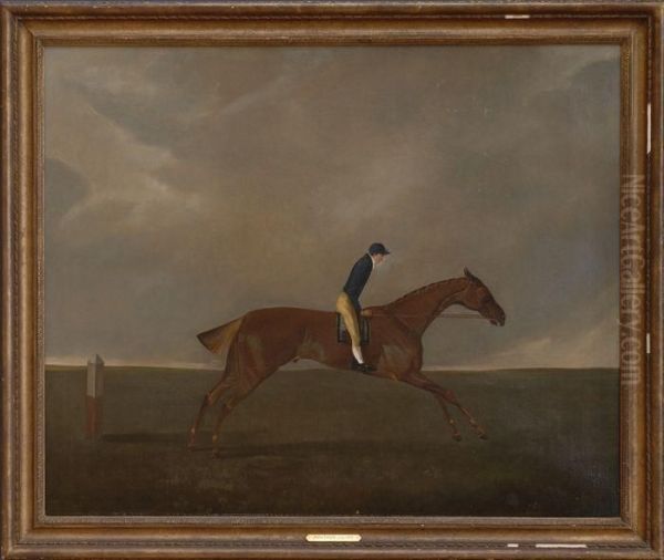 Horseand Rider - view 1