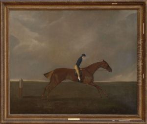 Horseand Rider Horseand Rider