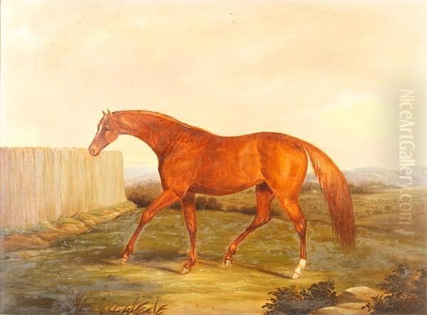 Horse Before A Landscape - view 1