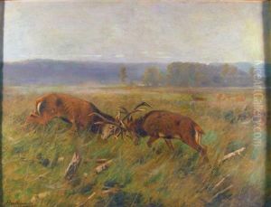 Stags Fighting