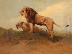 Lions Hunting