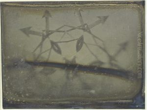 Study Of A Microscope Slide by Henry Draper