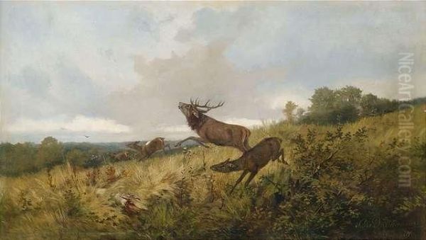 Deers In Autumnal Landscape - view 1