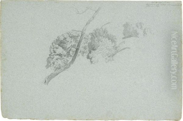Baumstudie - view 1