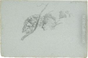 Baumstudie by Heinrich Dreber