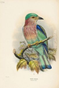 History Of The Birds Of Europe by Henry Eeles Dresser