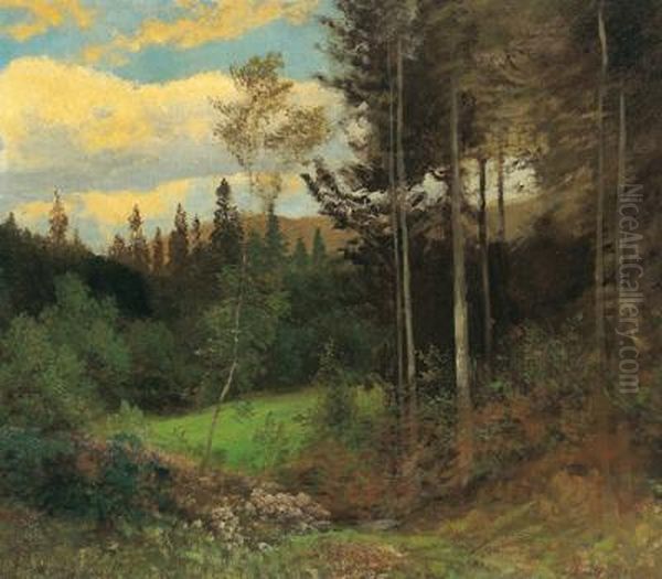 On The Edge Of The Forest - view 1
