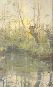 Riflesso by Alberto Dressler