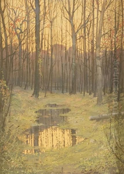 Tramonto Nel Bosco - view 1