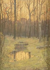 Tramonto Nel Bosco Tramonto Nel Bosco