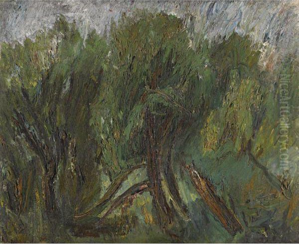Willows. Altai - view 1