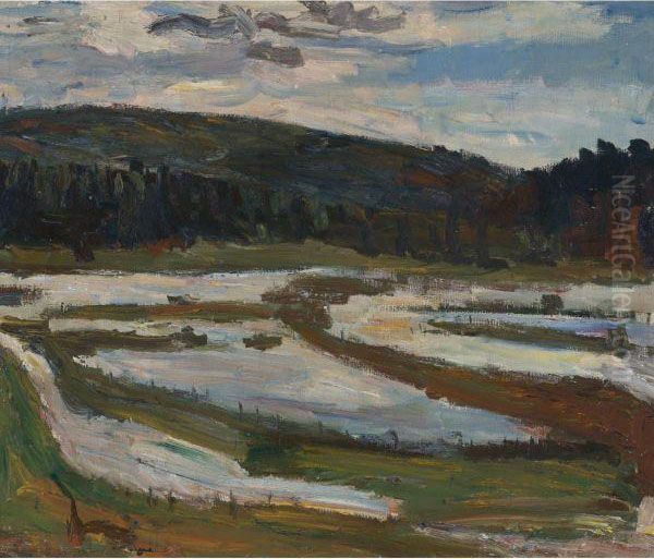 The Flood - view 1