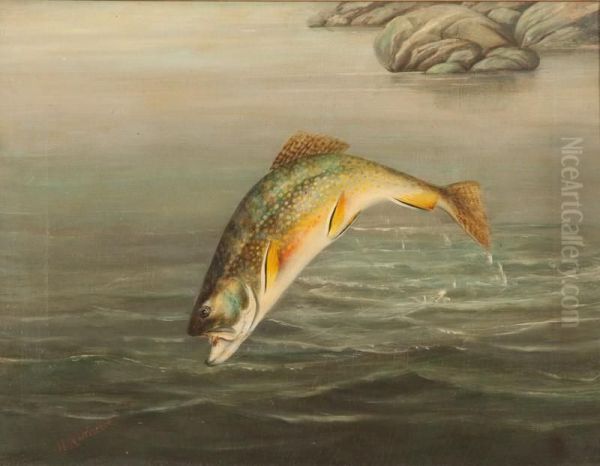 Brook Trout - view 1