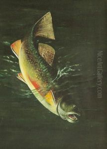Trout by Harry A. Driscole