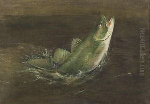 Bass Rising by Harry A. Driscole