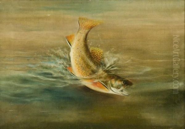 Brook Trout - view 1