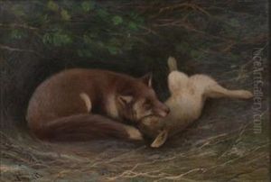 Rev Med Hare by Mauritz Drougge