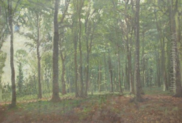 Waldlichtung - view 1