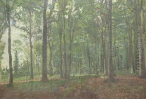 Waldlichtung by Hermann Druck