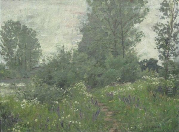 Teichlandschaft - view 1