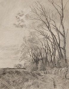 Landschaft Mit Einer Reihe Hoher Baume An Einem Weg by Hermann Druck