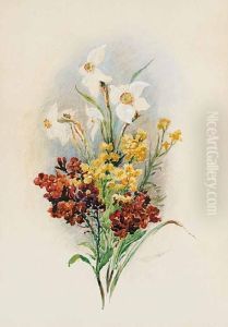 Untitled - Daffodils And Wallflowers