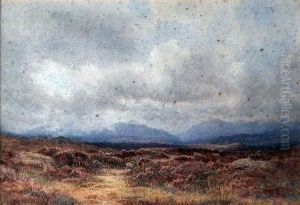 Scottish Moorland Scene With Sheep by George, Captain Drummond-Fish