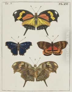 Exotic Insects by Dru Drury