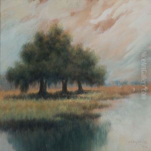 Swamp Area In New Orleans by Alexander John Drysdale