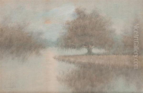 Down The Bayou - view 1