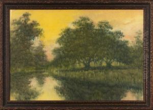 Sunlight Overthe Bayou by Alexander John Drysdale