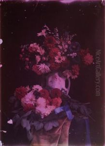 Composition Aux Dahlias. by Ducos Du Hauron