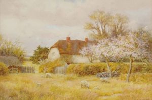 Sheep And Lambs In A Meadow by Curtius Duassut