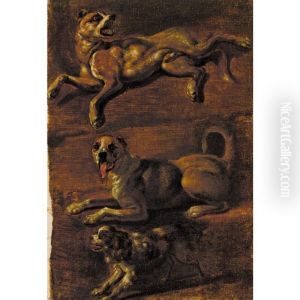 Three Studies Of Dogs Three Studies Of Dogs