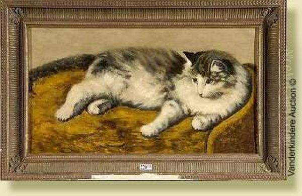 Chat Couche - view 1