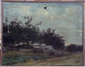 Paysage, La Prairie