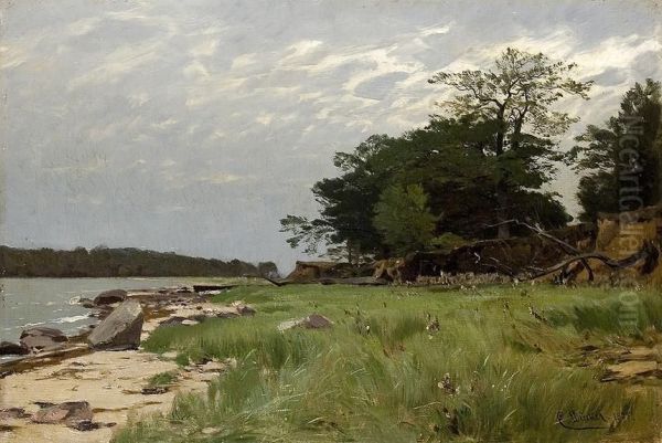 An Der Ostseekuste - view 1