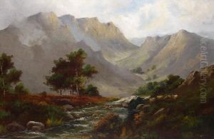 Scottish Highland Stream by Jack Ducker