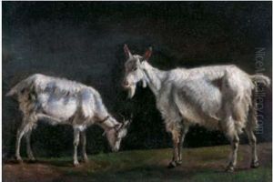 Etude De Chevres by Jean-Antoine Duclaux