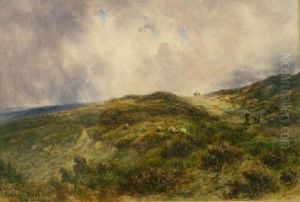 A Spring Day Goathland Moors