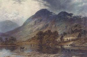 Cattle Watering Before Heather-strewn Hills