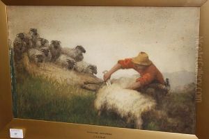 Highland Shearers