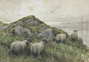 Sheep On Coastal Outcrop by John Robert Keitley Duff