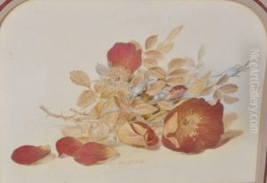 Still Life Flower Study by Mary Elizabeth Duffield