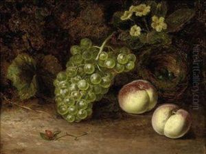 Grapes And Peaches With A Bird's Nest On A Mossy Bank by William Duffield