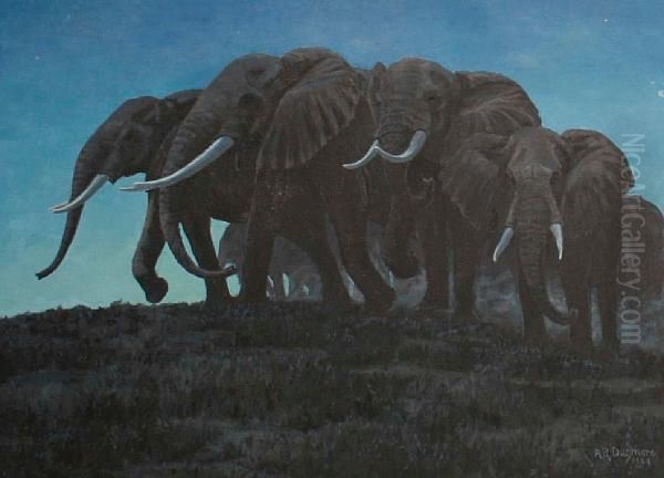 Elephants - view 1