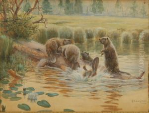 The Beaver Dam by Arthur Radclyffe Dugmore