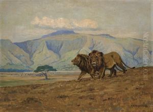 ''lions In The Ngora Ngora Crater'' by Arthur Radclyffe Dugmore