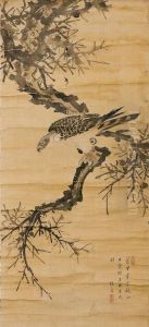 Hawk