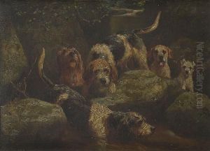 Otterhounds by Alfred Duke